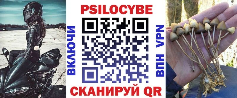 Псилоцибиновые грибы Psilocybe  Купить  Нестеров 